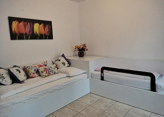 Amalia Guest house *